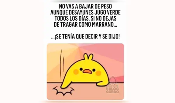 Se tenía que decir y se dijo: conoce el origen de este nuevo meme [FOTOS]