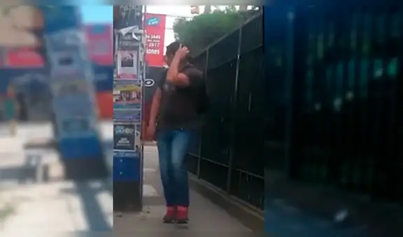 Captan la conducta extraña de pájaro con transeúntes que pasan por campus de universidad [VIDEO]