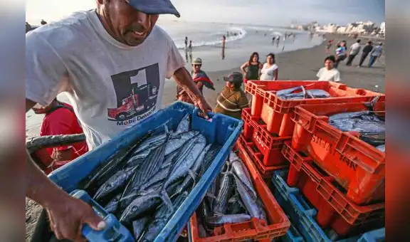 Produce suspende por 7 días la pesca de merluza en Tumbes