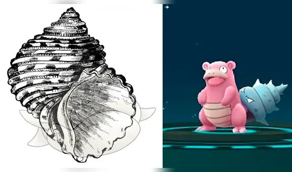 Pokémon GO: ¡Nos engañaron con Shellder! La cola de Slowbro fue mordida por otro pokémon [VIDEO]