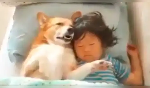 Madre pide a su perro ‘cuidar’ a su hija y los encuentra en una conmovedora escena [VIDEO] 