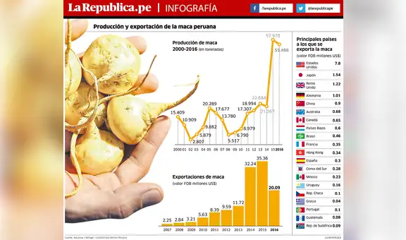 Producción y exportación de la maca peruana