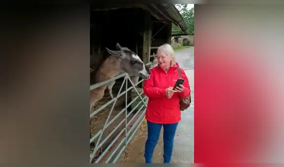 Mujer trata de tomarse ‘selfie’ junto a llama y esta ‘posa’ para la fotografía [VIDEO]