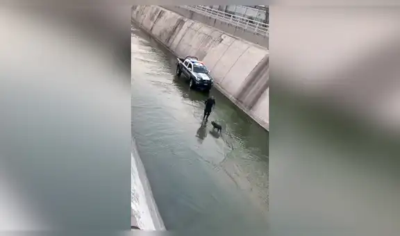 Policía arriesga su vida para rescatar a perro callejero que cayó en una canaleta [VIDEO]
