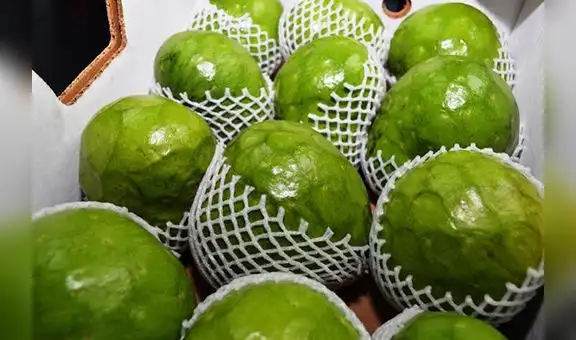 Sunat: Envíos agrícolas formales por Puno a Bolivia se incrementaron en cuarentena