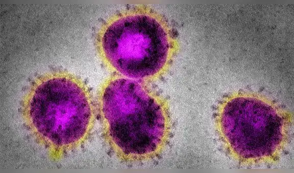 Científicos sugieren que hay seis ‘tipos’ de COVID-19, según los síntomas 