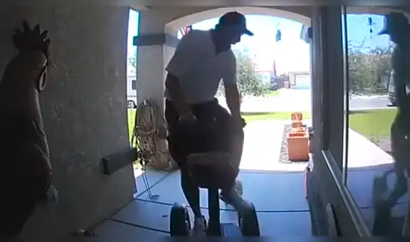 YouTube viral: gato se avienta encima de repartidor y le provoca tremendo accidente [VIDEO] 