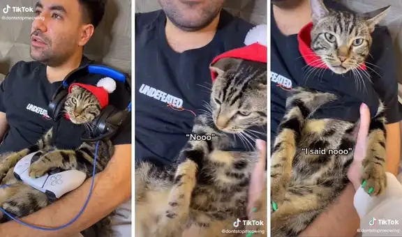 Gatito gamer: ‘juega’ videojuegos con su dueño y reniega si lo separan de él