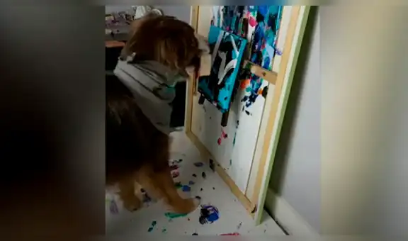 Perro pinta retratos para recaudar dinero y ayudar a los albergues de animales [VIDEO] 