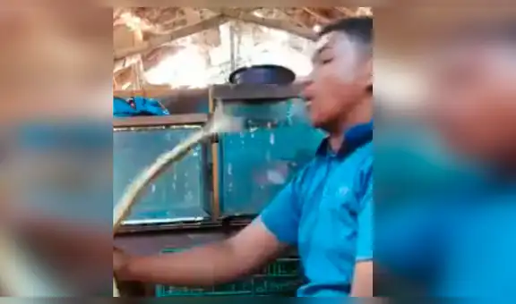 Se enfrenta con enorme pitón, sin imaginar sería ferozmente atacado [VIDEO]