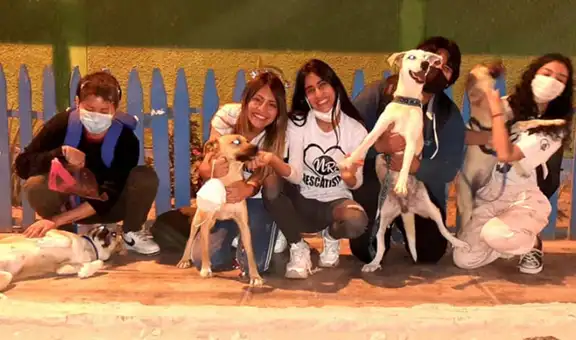 Jóvenes rescatan a perritos que fueron atados a muros de construcción 