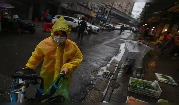Mercados húmedos de Asia aún venden murciélagos y monos  en medio de la pandemia