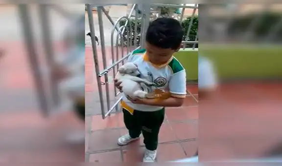 Niño va a la tienda, oye fuertes llantos y rescata a perro bebé atropellado [VIDEO] 