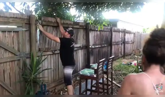 Convierte su cerca en una mesa para almorzar con sus vecinos durante cuarentena [VIDEO]
