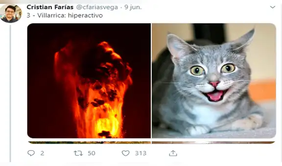 Twitter: Científico chileno enseña el 'carácter' de los volcanes usando gatos y la red 'delira' [FOTOS]