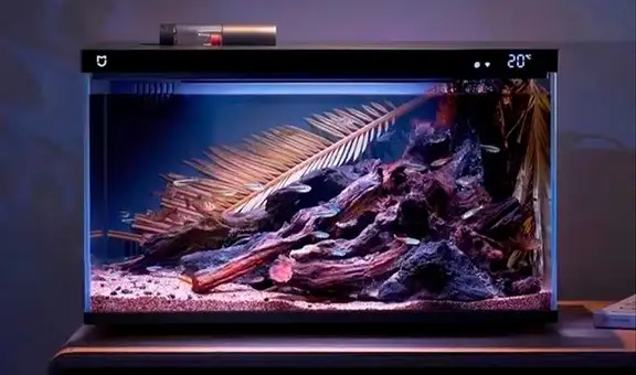 Crean un acuario que se limpia solo y alimentará a tus peces cuando lo crea conveniente