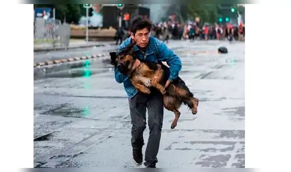 Joven es ovacionado en redes sociales tras rescatar a un perro en medio de protesta en Chile