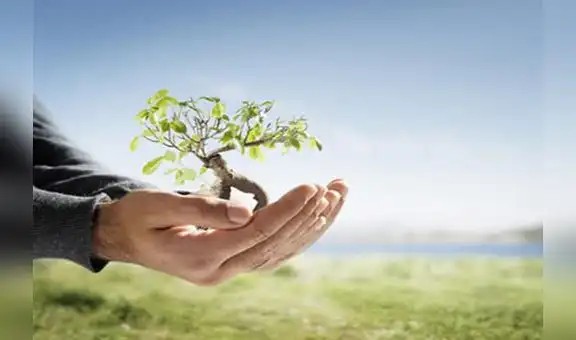 Magdalena: Inician proyecto de arborización de la Costa Verde