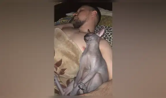 Chica deja a su gato al cuidado de su novio, sin imaginar que los encontraría en tierna escena [VIDEO]