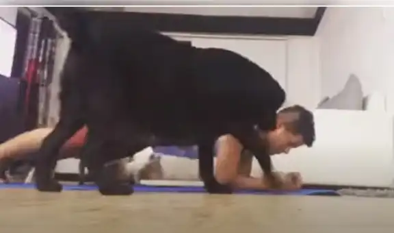 Intenta grabar su rutina de ejercicios y sus mascotas lo interrumpen arruinándole el momento [VIDEO]