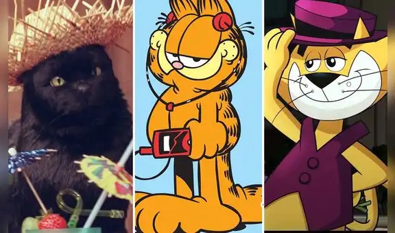 Día Internacional del Gato: los cinco felinos que se apoderaron de las pantallas