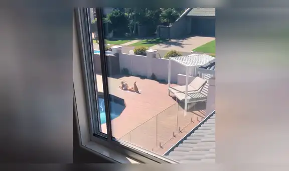 Facebook Viral: Su novia tomaba sol y extraño hace algo inesperado [VIDEO]