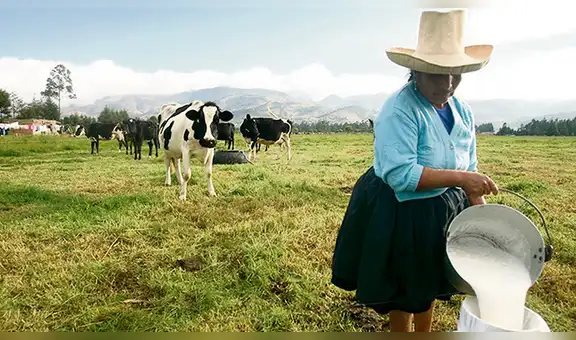 Demanda de Gloria seguiría similar rumbo que caso Bonlé