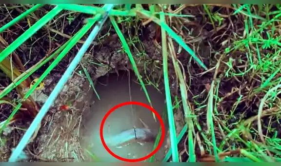 Joven lanza carnada a un extraño hoyo para atraer a un exótico pez y sucede lo inesperado [VIDEO]