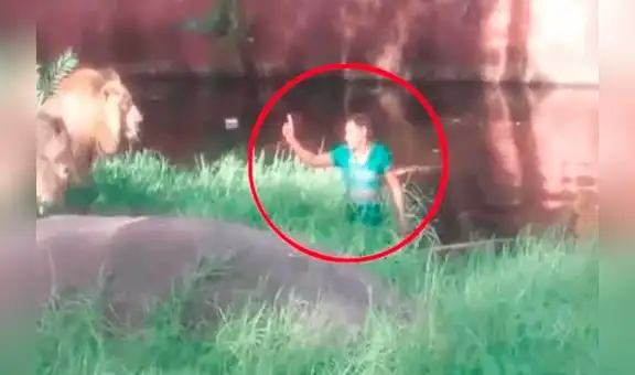 YouTube viral: hombre ebrio cae en recinto de leones y hace esto para que no lo coman [VIDEO] 