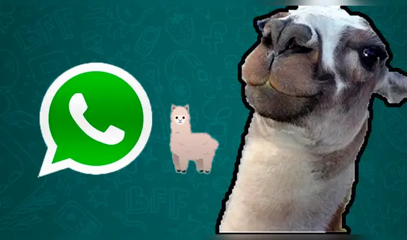 WhatsApp Viral: lanza emotivo emoji inspirado en la famosa "llama peruana" y así luce