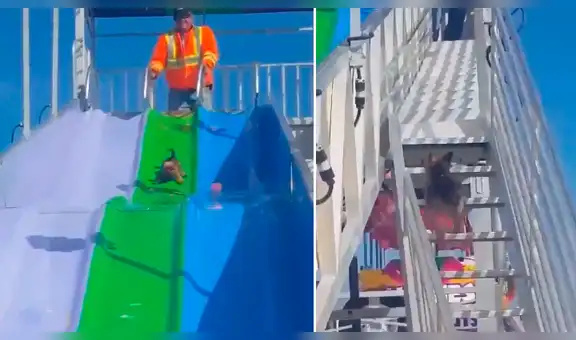 Facebook viral: chica lleva a su perro a un parque de diversiones y este tiene divertida reacción [VIDEO]