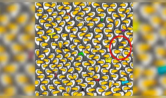 ¿Encuentras al pingüino escondido entre tucanes?, el reto visual que casi nadie logra resolver [FOTOS]