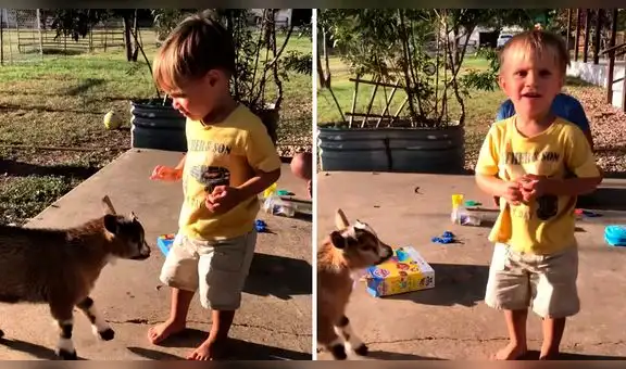 YouTube: Niño molesta a una cabra y esta le da una gran lección a los pocos segundos