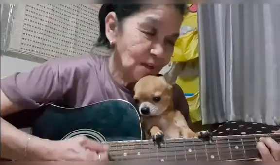 Mujer hace transmisión en vivo para interpretar canción de The Beatles dedicada a su tierno perro [VIDEO] 