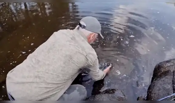 Pescador se sumerge en río de 'aguas oscuras’ y atrapa gigantesca criatura [VIDEO]