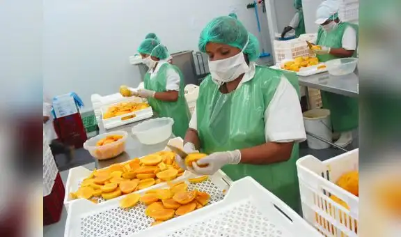 La exportación representó más de 3 millones 615.000 empleos para el Perú solo hasta octubre