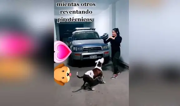Juega con su can para que este no se asuste con el ruido de los pirotécnicos