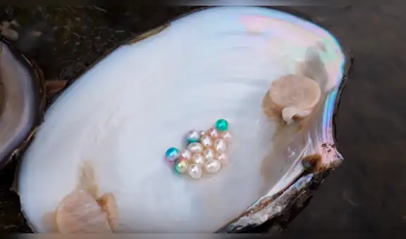 Mujer halla misteriosas criaturas que la hacen millonaria por el tesoro que guardan en su interior [VIDEO]