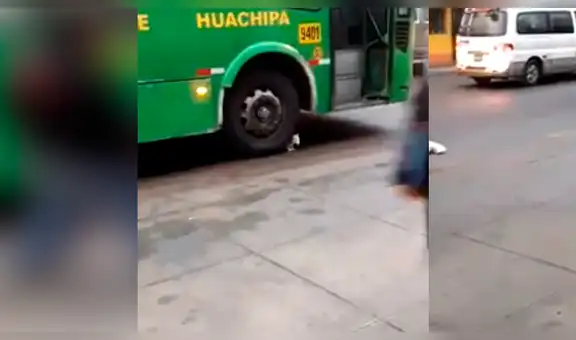 Gato se coloca debajo de la llanta de un bus en movimiento y sucede lo inesperado [VIDEO]