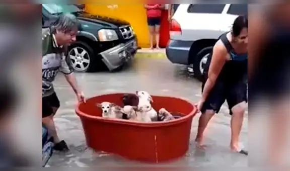 Familia traslada a sus perros en una tina en medio de la inundación causada por el huracán Hanna [VIDEO]