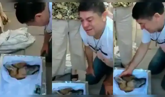Facebook: hombre llora desconsoladamente cuando vela a su mejor amigo canino [VIDEO]