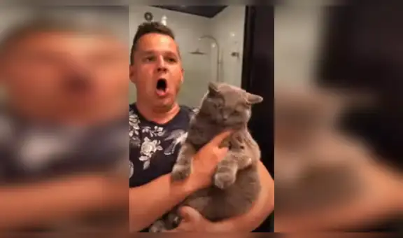 Joven sorprende con curioso truco para que su gato deje de molestarse [VIDEO]