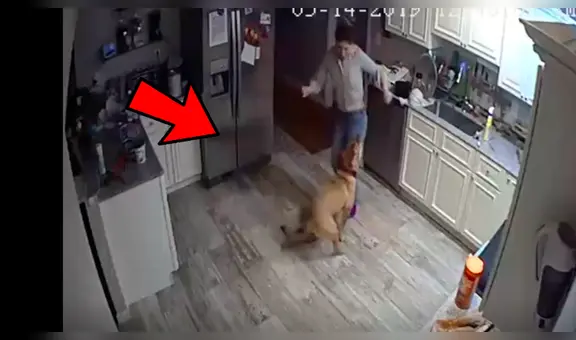 Coloca cámara de seguridad en su casa y descubre lo que su novia y perro hacen mientras no está [VIDEO]