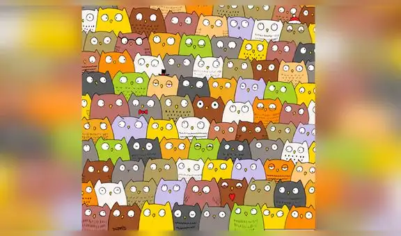 ¿Puedes ver al gato bebé entre búhos? El difícil reto visual que nadie puede resolver [FOTOS]