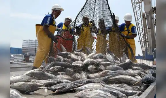 Pescadores reiteran que nuevos derechos de pesca reducirán sus ingresos