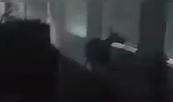 YouTube viral: Chica oye extraños ruidos, llama a policías y descubren misteriosa criatura [VIDEO]