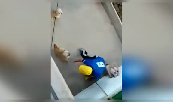Su padre no quería mascotas en casa, pero luego de un tiempo lo vio llenando de cariño a su perro [VIDEO] 