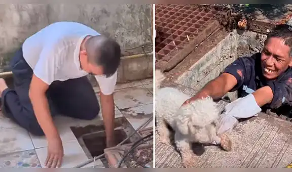 Escucha misteriosos sonidos dentro de alcantarilla, la revisa y encuentra a su perro [VIDEO]