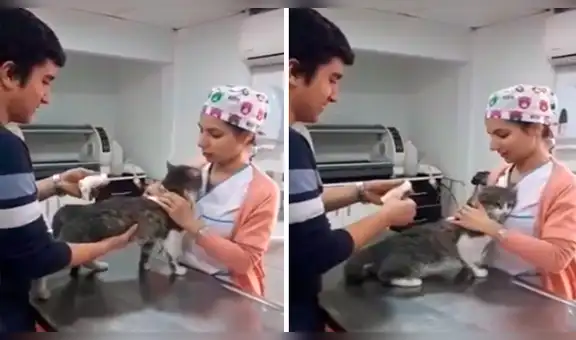 Rescata a gato callejero, lo lleva al veterinario y este tiene emotiva reacción [VIDEO]