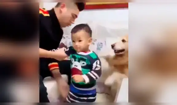 Hombre finge golpear a su bebé y perro lo sorprende con peculiar conducta [VIDEO]